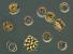 Nzev:		Cyclotella meneghiniana, Coelastrum astroideum a Peridinium sp.	
Zvteno:	400 x
Technika:	Nomarskho kontrast
Datum:		2004-08-01
Lokalita: 	Skalka u Chebu
