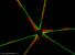Nzev:		Asterionella formosa	
Zvteno:	800 x
Technika:	Fluorescenn barven PDMPO
Datum:		2005-05-15
Lokalita: 	ndr mov
