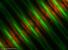 Nzev:		Fragilaria crotonensis	
Zvteno:	1000 x
Technika:	Fluorescenn barven PDMPO
Datum:		2006-07-12
Lokalita: 	ndr mov
