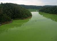 Orlk Reservoir
Date:	2004-07-15
