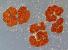 Name:		Botryococcus braunii
Magnified:	300 x
Technique:	Nomarski contrast
Date:		2003-07-01
Locality: 	Nov e Reservoir

